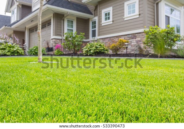 Nicely trimmed front yard with green grass in front of a\
luxury house. 