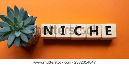 Niche symbol. Concept word Niche on wooden cubes. Beautiful orange background with succulent plant. Business and Niche concept. Copy space.