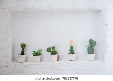 Niche In A White Brick Wall. Storage Of Objects. A Shelf For Plants. Cactus On A White Background