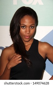 Nicole Beharie At The Fox All-Star Summer 2013 TCA Party, Soho House, West Hollywood, CA 08-01-13