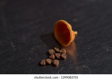 Nicotiana Rustica Seeds, The Peruvian Tobacco