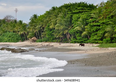 Nicoya Peninsula Landscapes, Costa Rica.