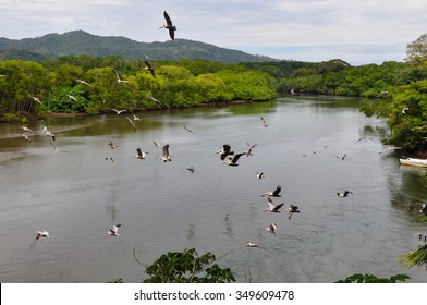 Nicoya Peninsula Landscapes, Costa Rica.