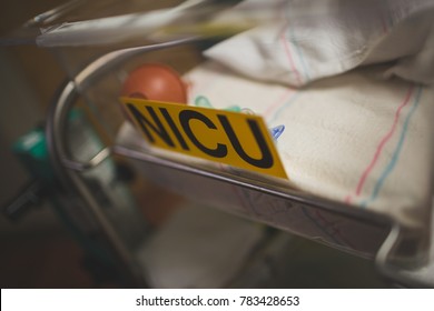 NICU Bassinet In Hospital For Newborn