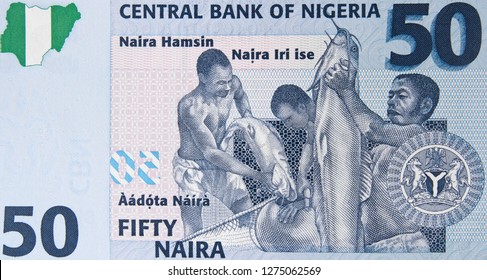 Nigeria 50 Naira Banknote, Central Bank Of Nigeria. Nigerian Money Currency Close Up