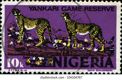 NIGERIA - CIRCA 1973: A Stamp Printed In Nigeria Shows Two Cheetahs On A Tree In Yankari Game Reserve, Series, Circa 1973