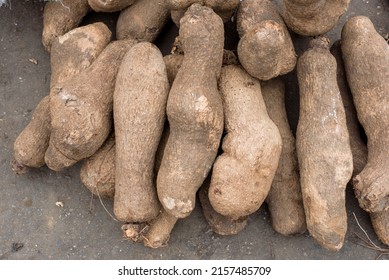 Nigeria's Economy As Inflation Rises - Big Yam Tubers On Sale In Lagos.