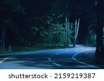 Night asphalt footpath in park lighted by street lamp. Nighttime with curvy roadway in forest at national park. Night road in forest. Scenic night landscape of road through the park.