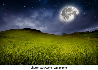 Green Field Night Elements This Image Stock Photo 236499019 | Shutterstock