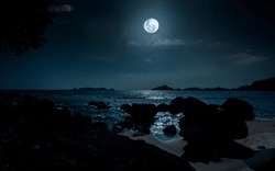 Night At Beautiful Beach With Rocks. Tranquil Evening Over Ocean With Full Moon