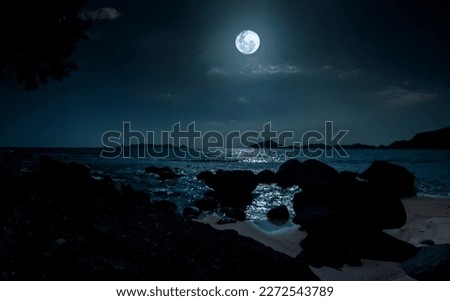 Night at beautiful beach with rocks. Tranquil evening over ocean with full moon