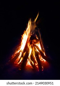 Night Camping Fire In The Forest. Night Bonfire With Friend And Family.