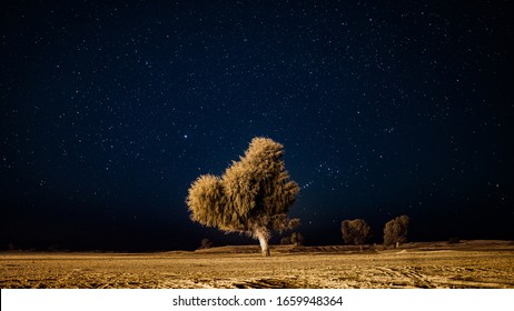 Night In Cholistan Desert, Pakistan.