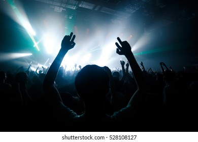 Night Club Party Crowd Hands Stock Photo 528108127 | Shutterstock