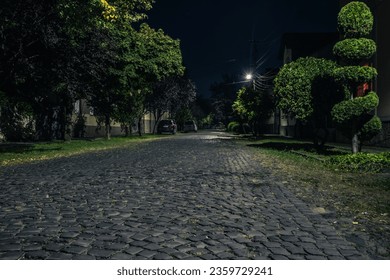 Night cobbled street in a small town in summer in summer. Night road made of stone with green trees and lanterns. A small European town with private houses. Mukachevo. Ukraine - Powered by Shutterstock