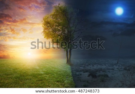 Night and day landscape with a single tree