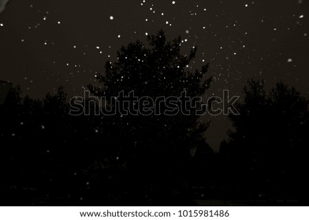 Similar – Image, Stock Photo Winter in Mecklenburg Snow