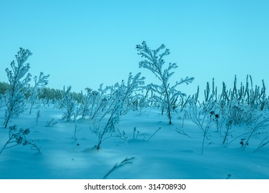 Night Field Covered With Snow