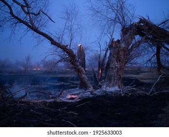 Night Field Grassland Fire With Burning Hey And Trees