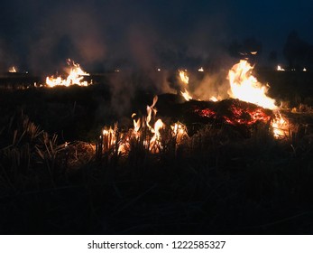 Night fire in fields