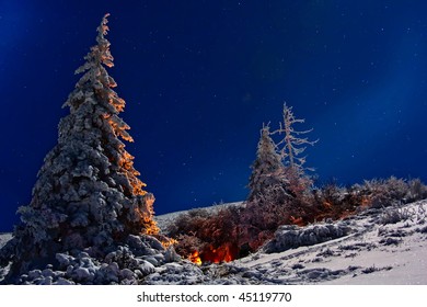 night fire in the winter pine forest under a starry sky