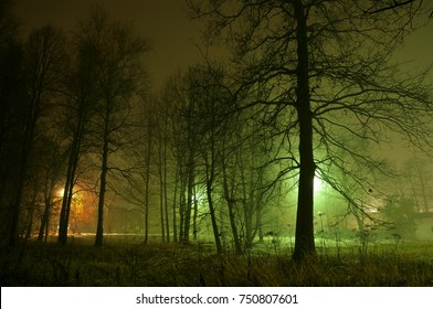 Night Fog Landscape, Street Lights, Small Town Background, Dark Forest