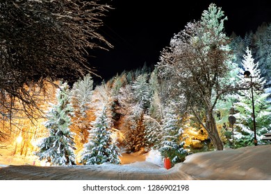 Night Forest In The Village Of Courchevel Le Praz