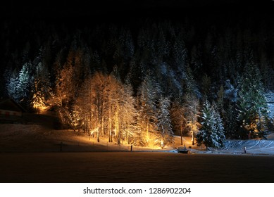 Night Forest In The Village Of Courchevel Le Praz