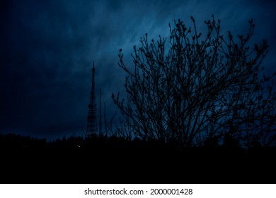 Night. A gloomy, frightening bush on the front panel and a dark, scary radio tower behind. - Powered by Shutterstock