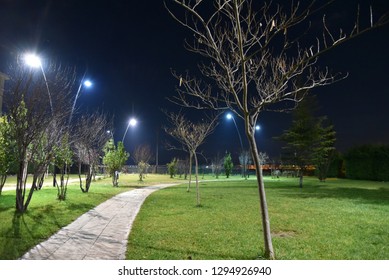 Night Illuminated Public Park In The City