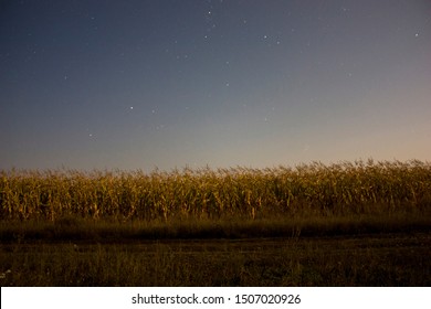 Night Landscape Of A Corn Field. Prolonged Exposure