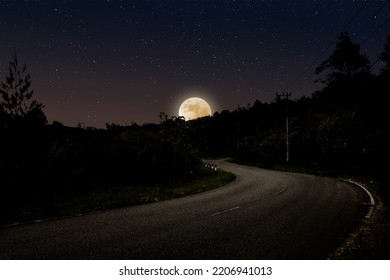 Night landscape with empty highway in forest full moon rising over the horizon and stars - Powered by Shutterstock