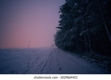 Night Landscape With Forest And Road In Fog, Toned Photo