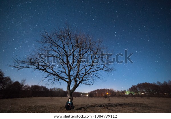 Night landscape with lonely tree on\
meadow and stars in sky. Man with gadget under\
tree