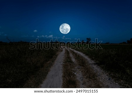 Night landscape with path and full moon. Tranquil night in countryside