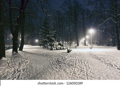 Night Landscape In Winter City