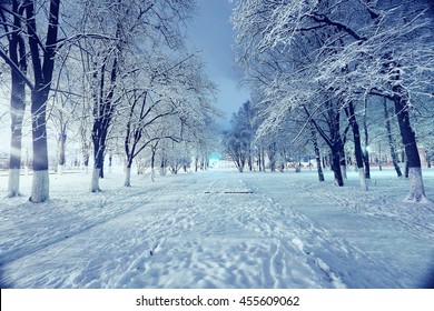 Night Landscape In Winter City Park