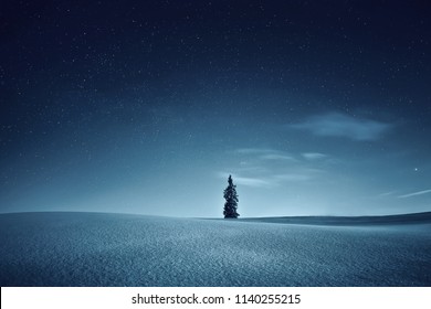 Night Landscape. Night Winter. Sky With Stars Over Snowy Meadow. Stunning Night Background.