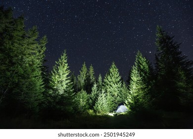 Night lights of a tourist camp in a spruce forest under a magical starry sky with the Milky Way. Location place Carpathian mountains, Ukraine, Europe. Photo wallpaper. Discovery the beauty of earth. - Powered by Shutterstock