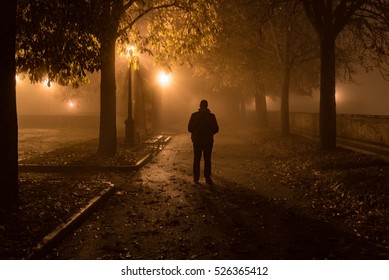 Night Man Walking Through A Fairytale Forest 