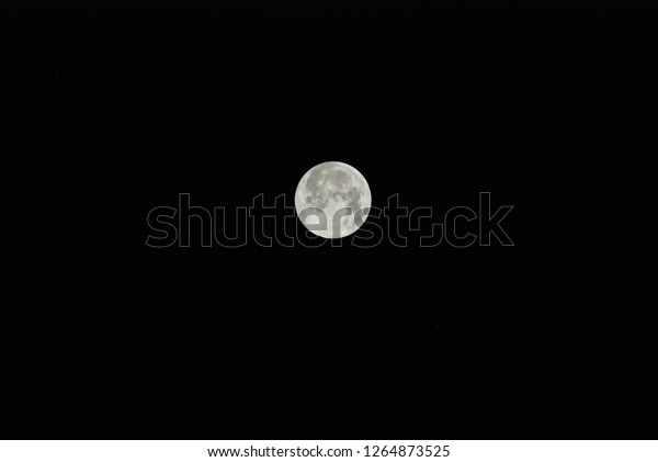 The Night\
Moon