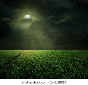 Night and the moon in the meadow 