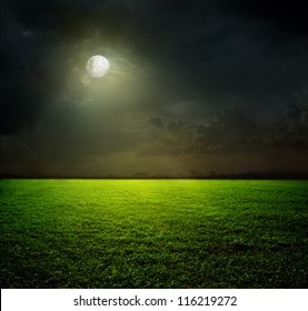 Night and the moon on a green field