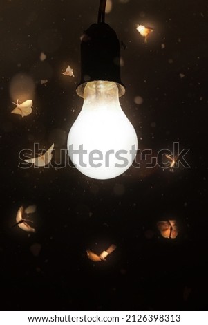 Night moths fly to the light of a vintage lamp on a dark background.