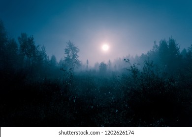 Night Mysterious Landscape In Cold Tones - Silhouettes Of The Forest Trees Under The Full Moon And Dramatic Night Sky.