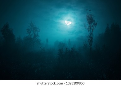 Night mysterious landscape in