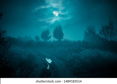 Night mysterious landscape in cold tones - silhouettes of the trees under the full moon through the clouds on dramatic night sky. - Shutterstock ID 1489183514