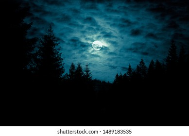 Night mysterious landscape in cold tones - silhouettes of forest trees under the full moon through the clouds on dramatic night sky.