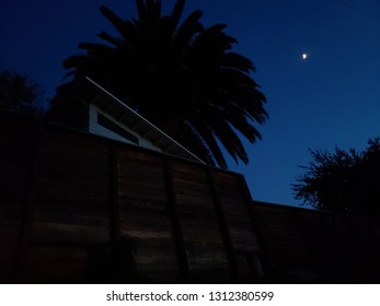 Night Nighttime Sky Blue Moon House Palm Tree Los Angeles Los Feliz 