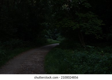 Night Park Trails Dirt Ground Foot Path Way In Darkness Dangerous Place 